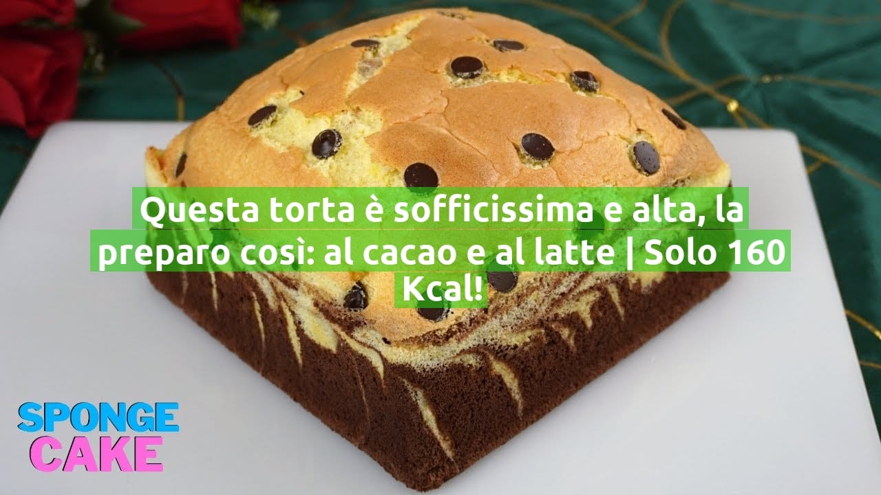 Questa torta è sofficissima e alta, la preparo così: al cacao e al latte | Solo 160 Kcal!