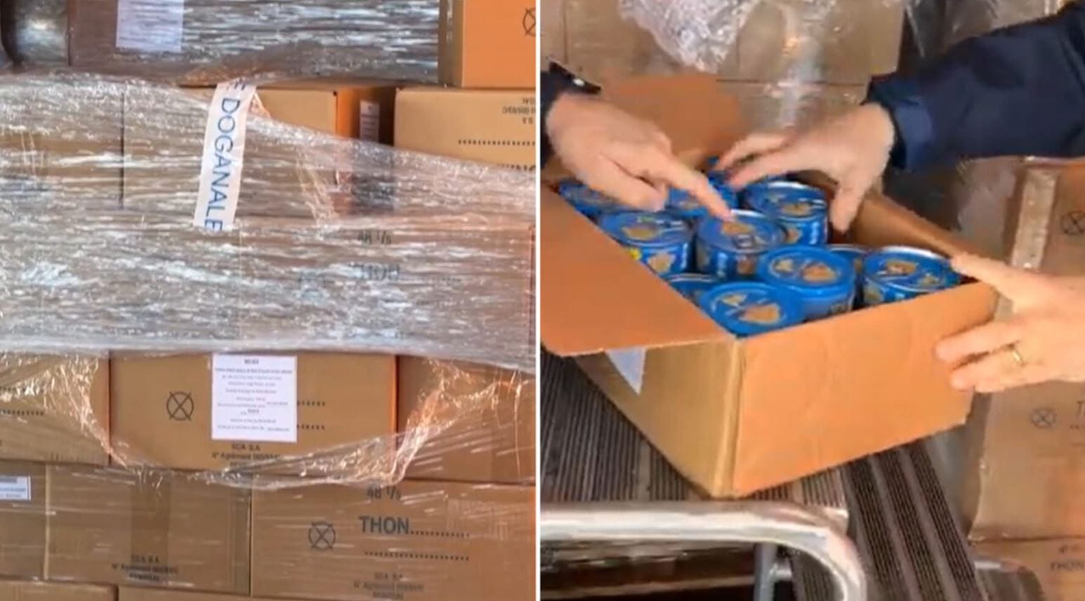 Tonno in scatola sequestro