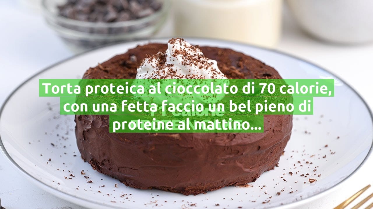 Torta proteica al cioccolato di 70 calorie, con una fetta faccio un bel pieno di proteine al mattino!