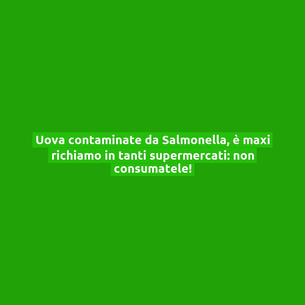 Uova contaminate da Salmonella, è maxi richiamo in tanti supermercati: non consumatele!