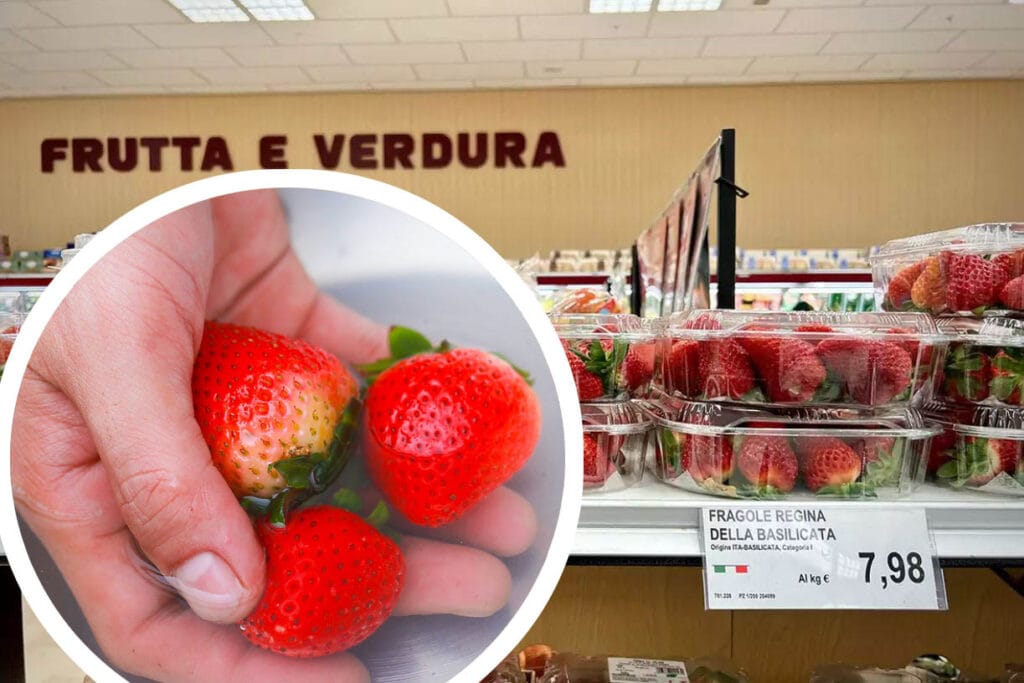 Fragole in vendita già da febbraio e marzo: sono davvero così buone e sicure, vale la pena comprarle?