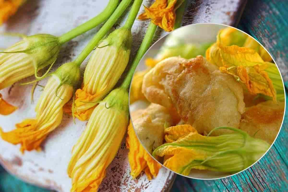 Fiori di zucca: ricette