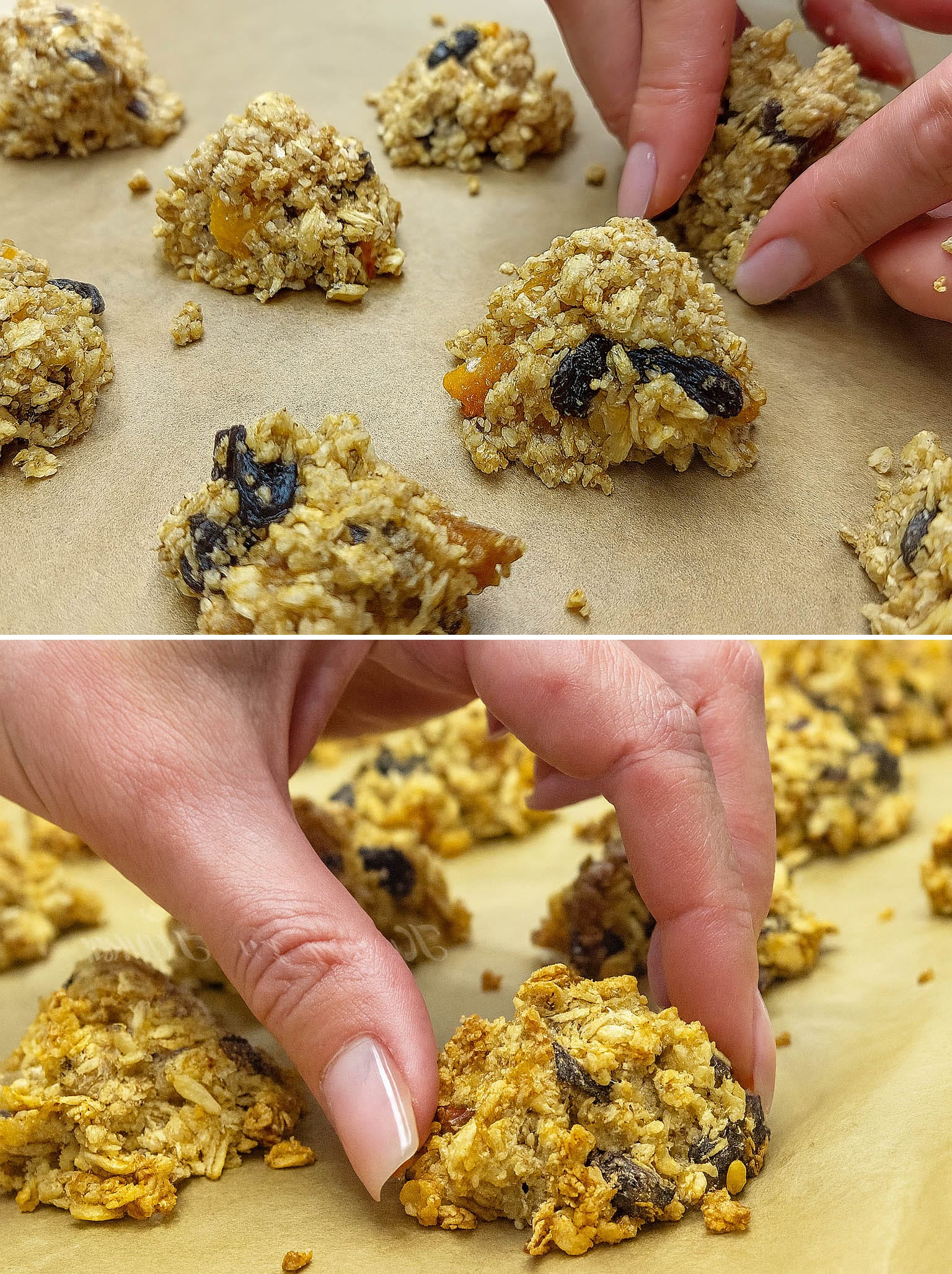Biscotti di avena, frutta secca e disidratata