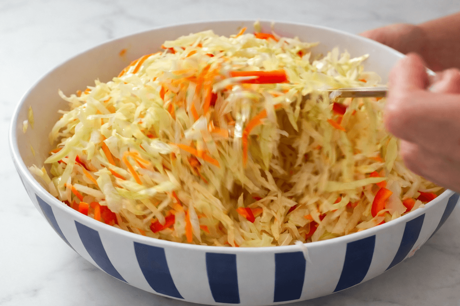 Insalata di cavolo sott'aceto