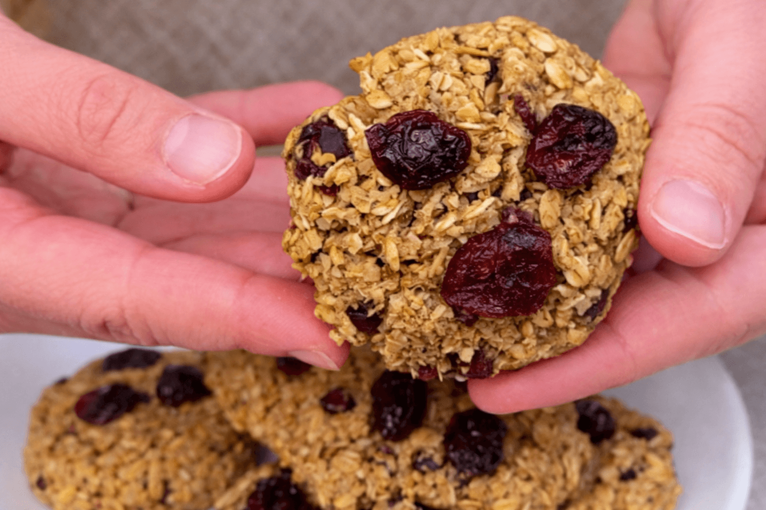 Biscotti di avena e frutta secca