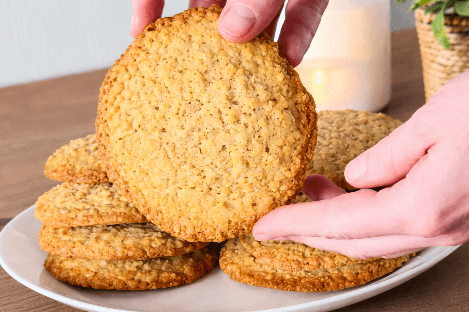 Biscotti di avena