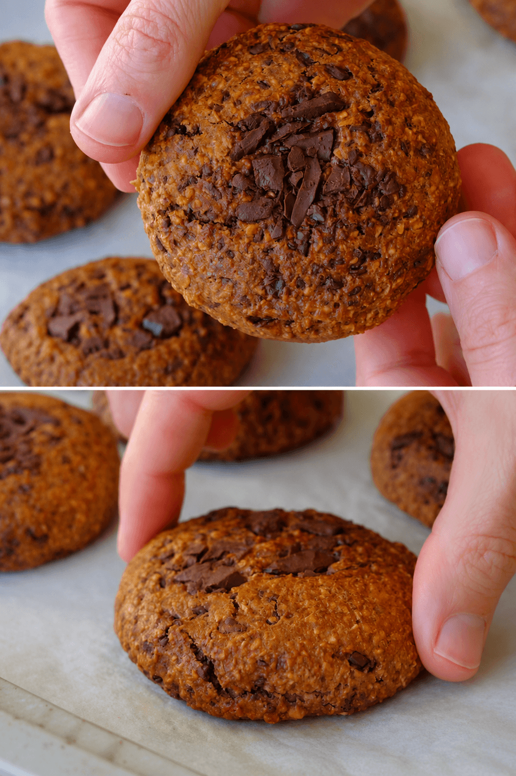 Biscotti di avena, cioccolato e caffè