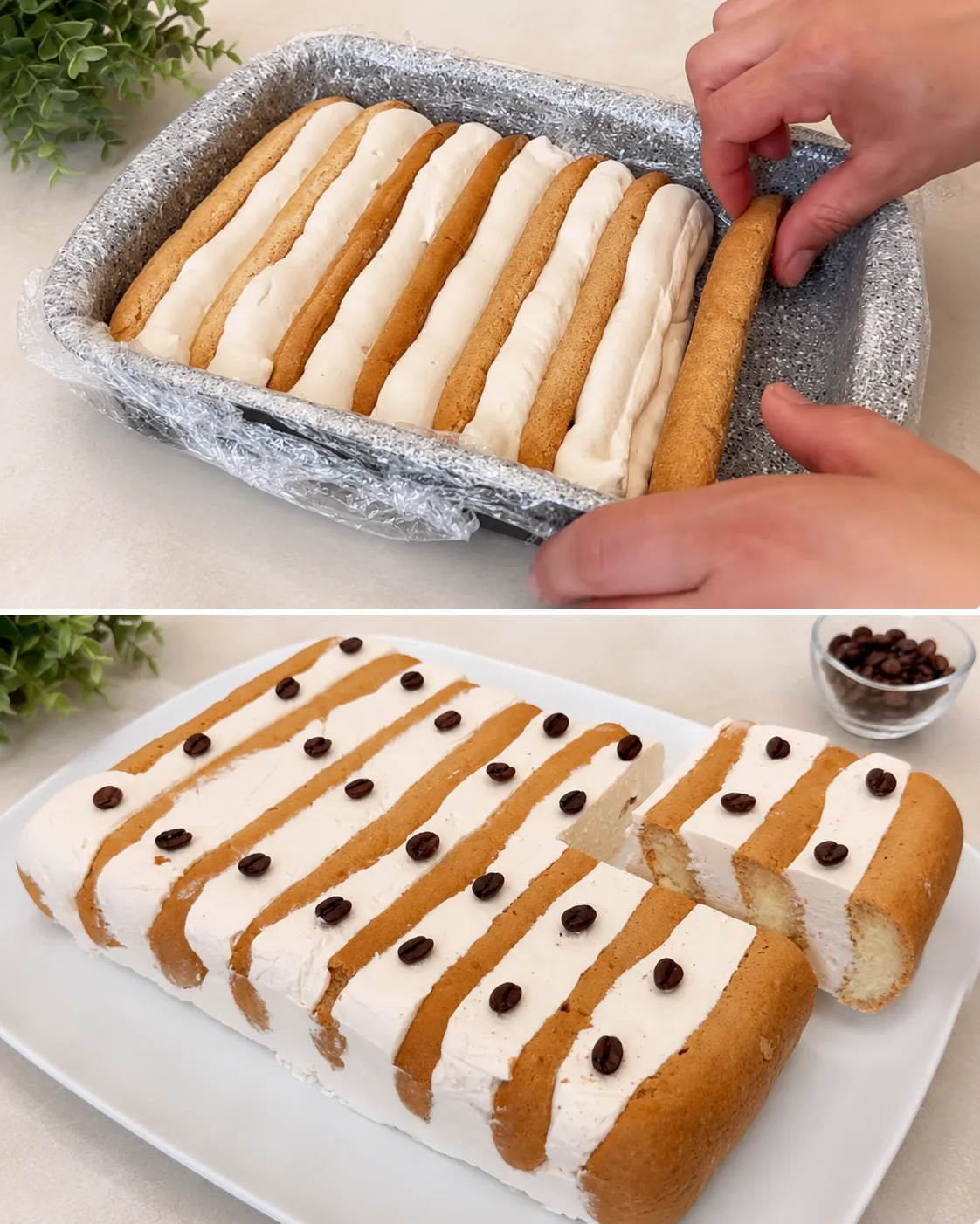 Torta fredda al caffè