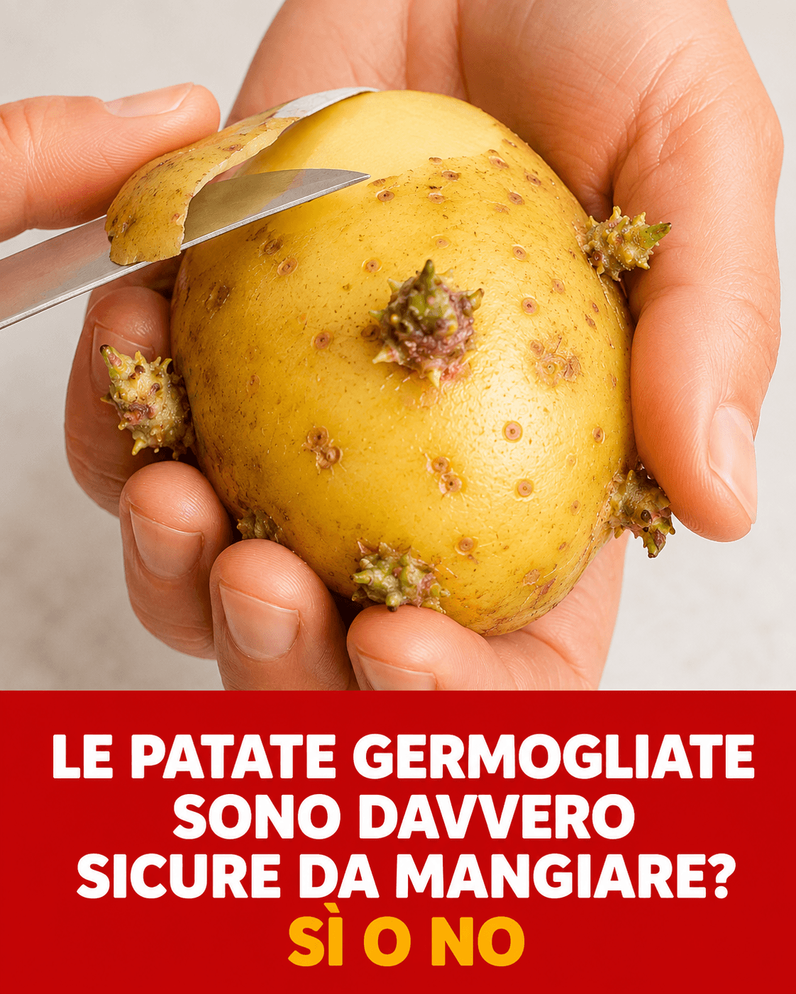 Patate germogliate