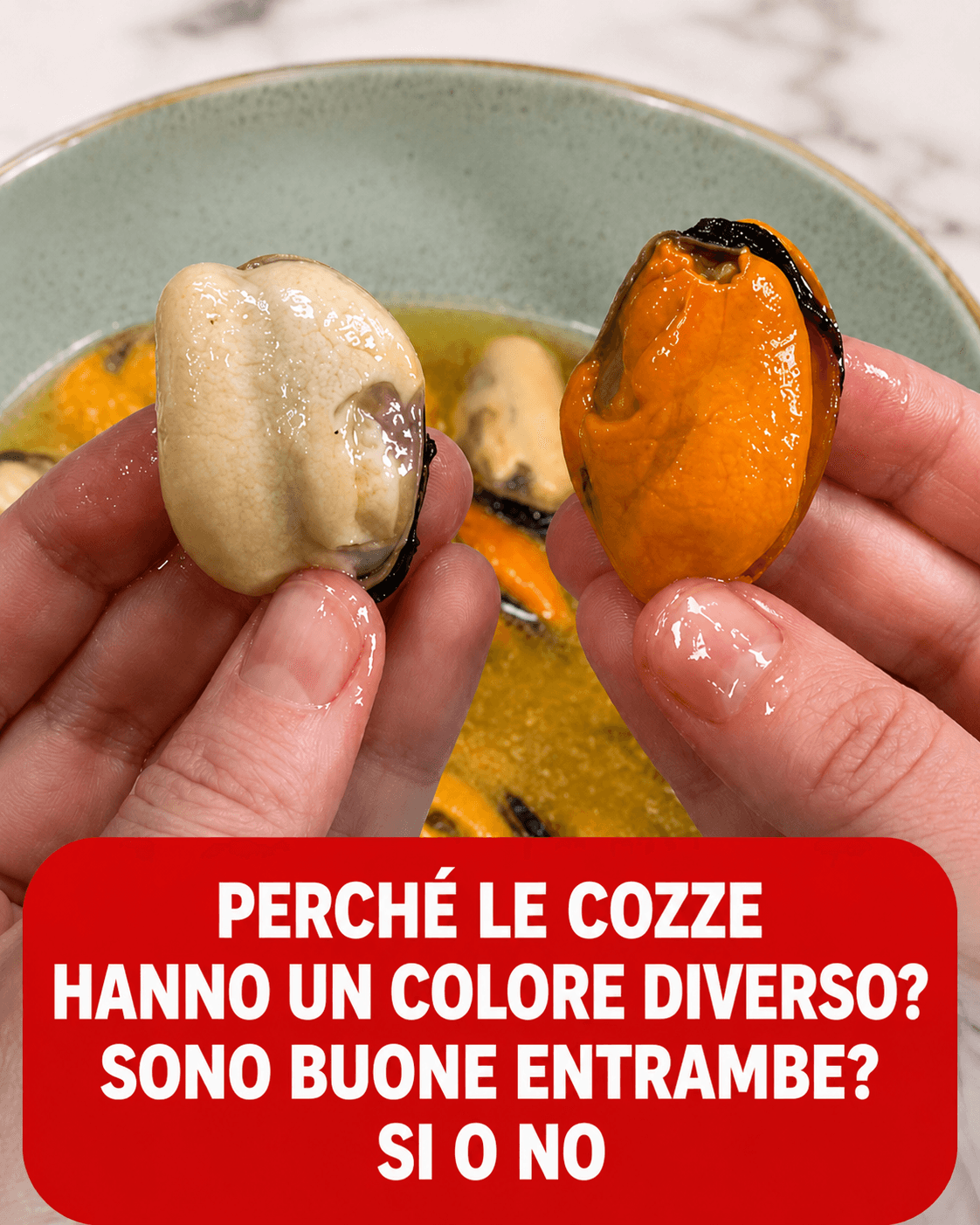 Cozze arancioni e chiare